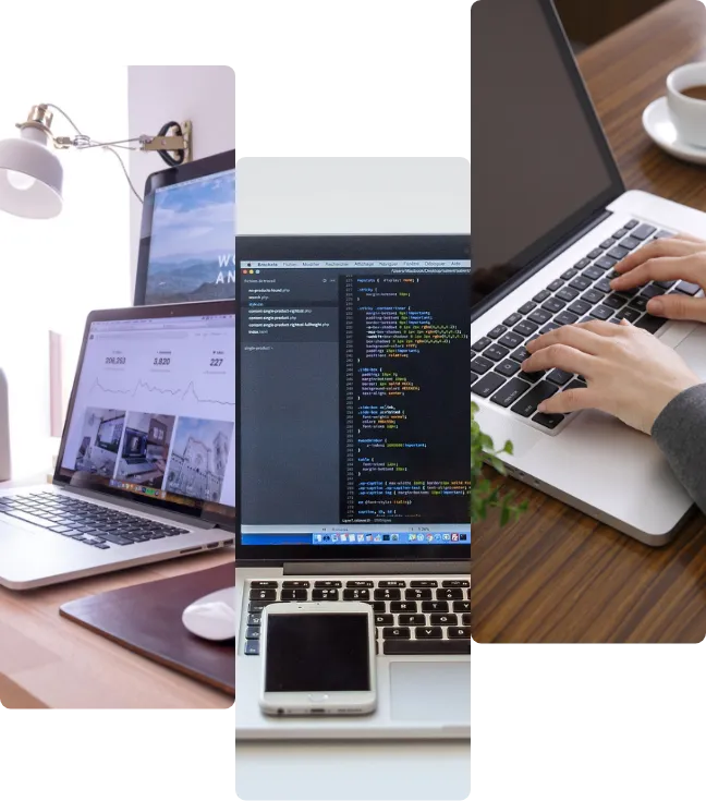 システム開発・サポート
                オフショア開発